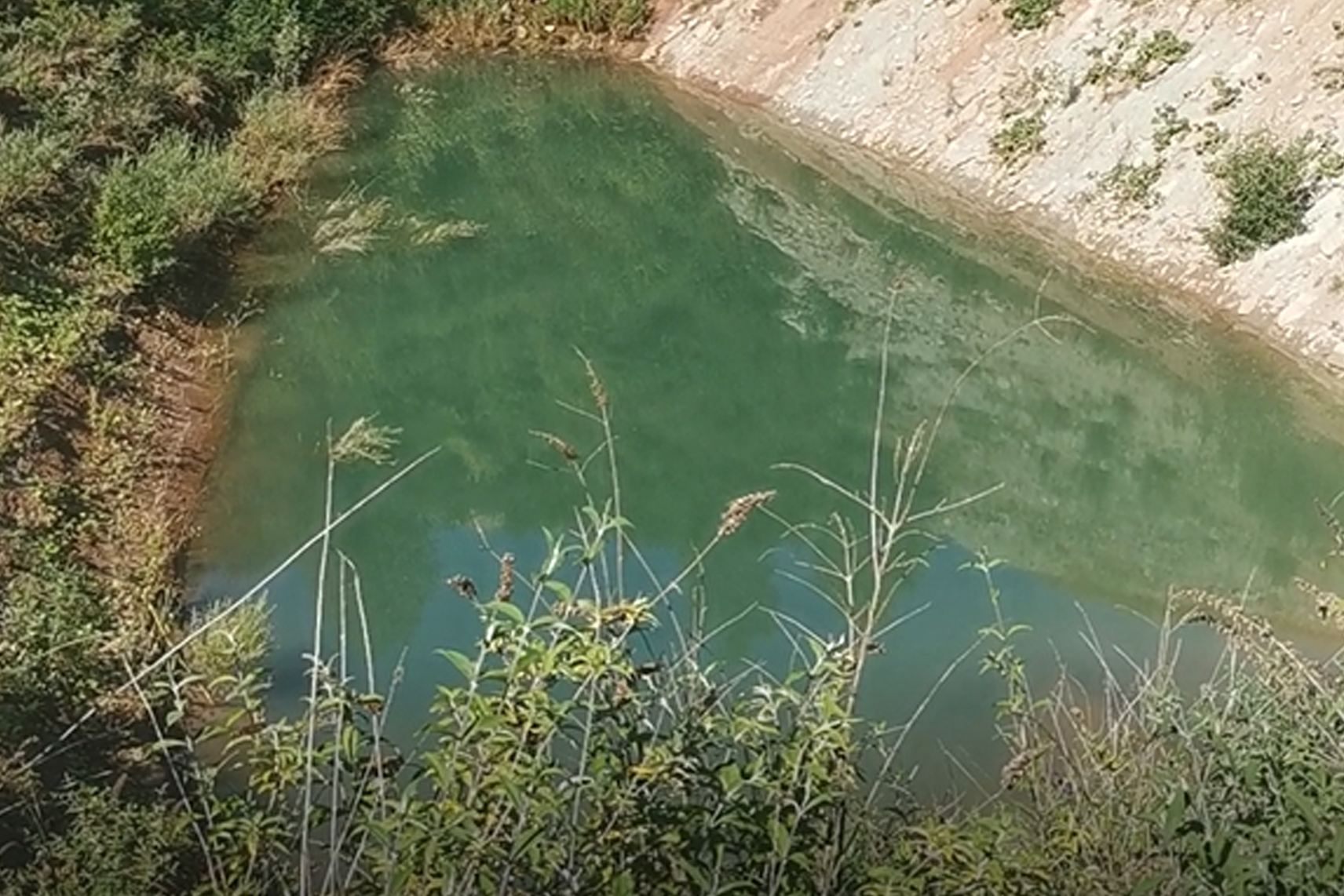 Unser Wasser für den Produktionsablauf: Oberflächenwasser aus der Grube.