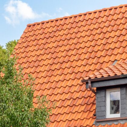 Tolles Dach mit Ziegel Z5 in friesisch-bunt Salzbrand