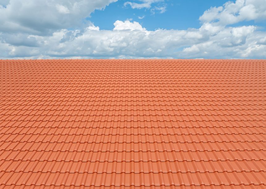 Halle mit Flachdachziegel W6v in rotbraun gedeckt