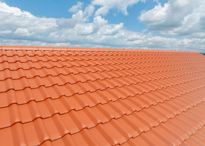 Halle mit Flachdachziegel W6v in rotbraun gedeckt
