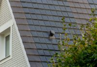 Solarziegel Stylist-PV und Dachziegel Stylist auf saniertem Steildach