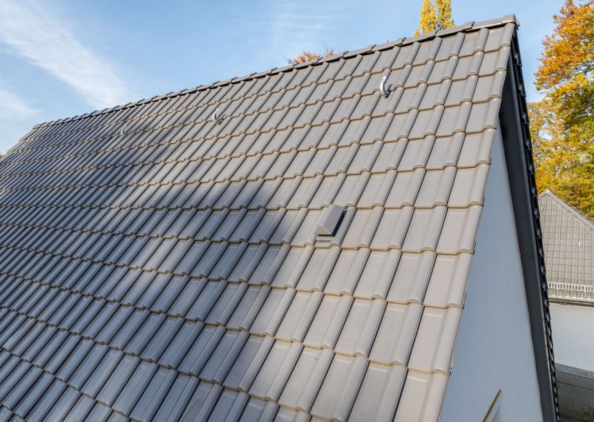 Deckbild und Ortgänge sowie flacher Sanitärlüfter von J13v in silbergrau