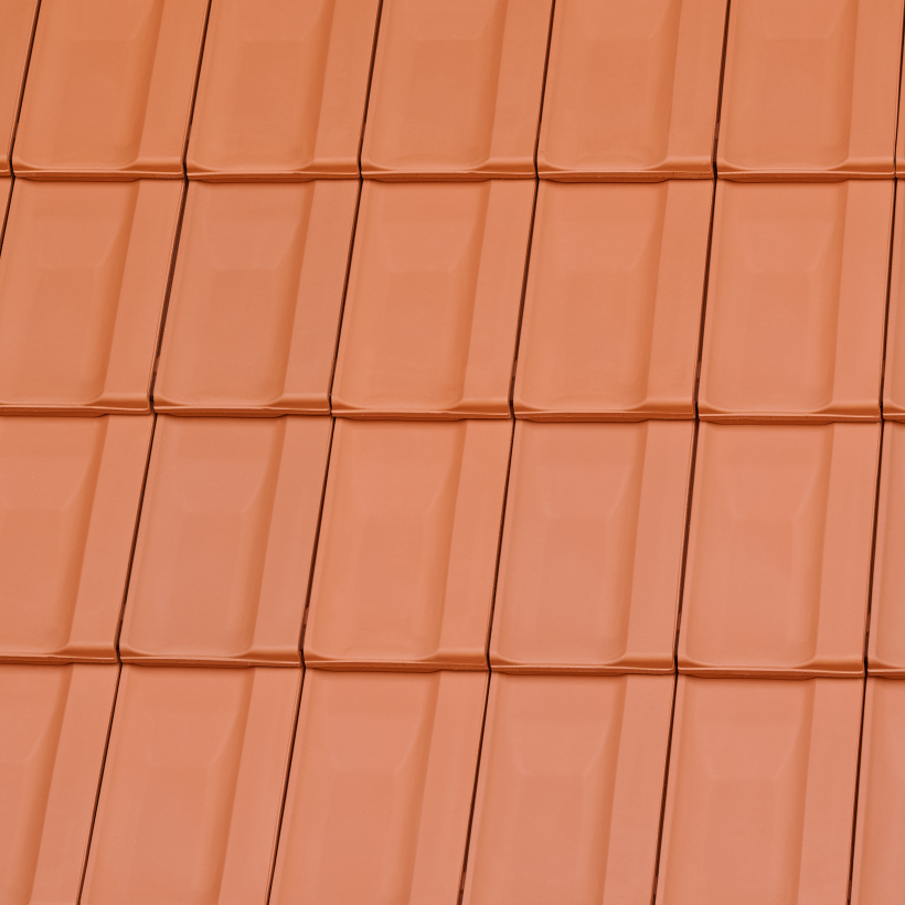 Reformziegel Z12v Flaeche naturrot