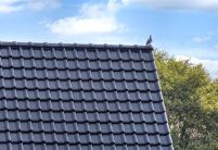 Gärtnerei mit J11v in edelschwarz mit schönem Deckbild.