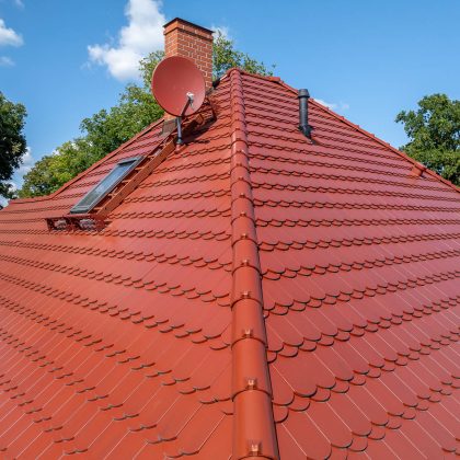 Details vom Grat von Jacobi Referenz mit edelmarone Biber im Rundschnitt