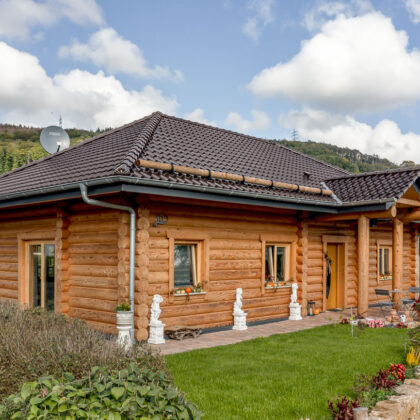 Rustikales Holzhaus mit Flachdachziegel J13v in vulkanschwarz auf dem Dach