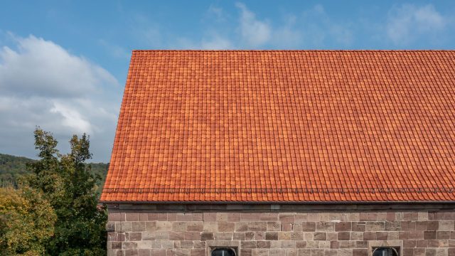 Historisches Muthaus mit Krempziegel K1 in Harzerbunt mit schönem Deckbild