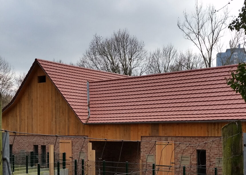 Wildpark in Wertheim mit Flachziegel WALTHER-tegula in rotbraun auf dem Satteldach