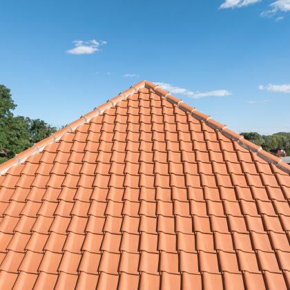 viele Satteldachgauben auf Mansarddach mit Dachziegel K1 - linksdecker - Fotodetails vom filigranen Deckbild