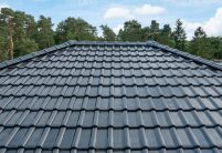 J11v in spacegrau auf Walmdach mit Fußwalm - mit wunderschönem Deckbild