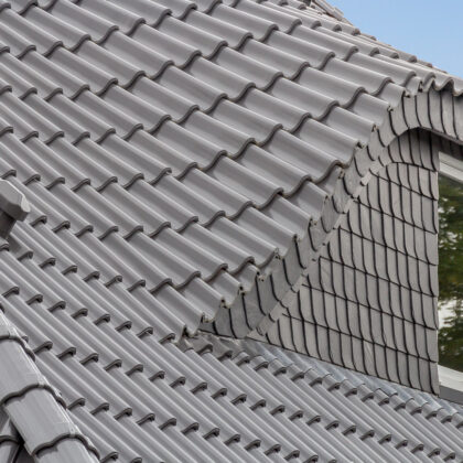 Silbergraues Z5-Dach mit Fledermausgaube