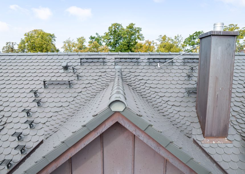 Sueddeutscher Biber in edelschiefer auf gesamten Anwesen, hier mit Details von der Satteldachgaube, Sicherheitstritt und Langrost