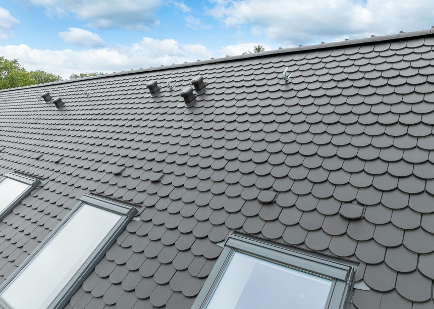 Biber im Rundschnitt mit Schneefang auf stilvollem inspirierenden Referenzobjekt von Jacobi Dachziegel mit Details vom Biber Lüfter