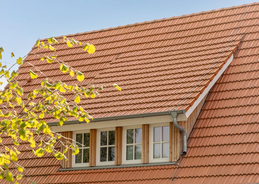 Schleppdachgaube mit Dppelmulde Z2 in naturrot auf Jugrendtreff