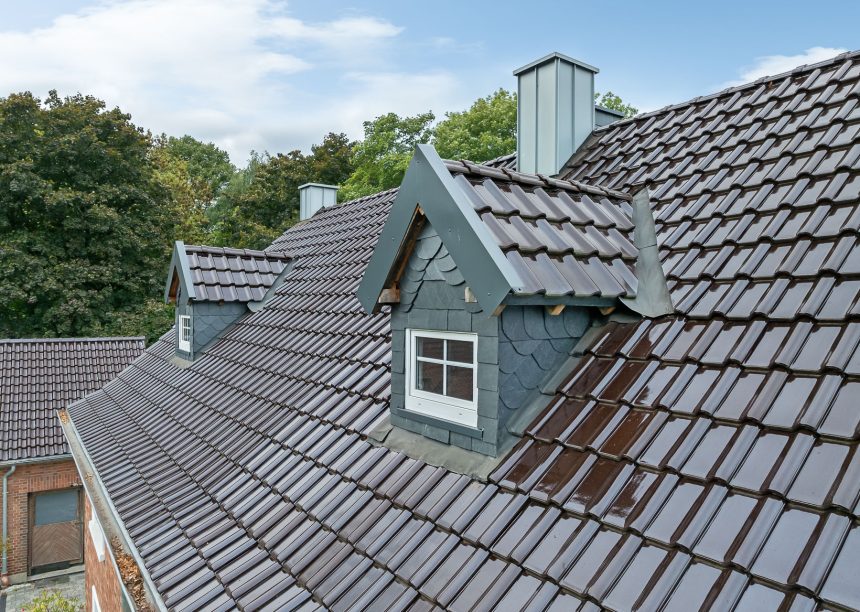 Dachziegel J11v in maronenbraun hier die Detailansicht vom Deckbild und Gaube mit Kehle