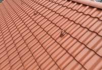 Flächenbild von Dachziegel W4v, Langenzenner Flachdachziegelmodell, in der Farbe rotbraun mit Firstreihe