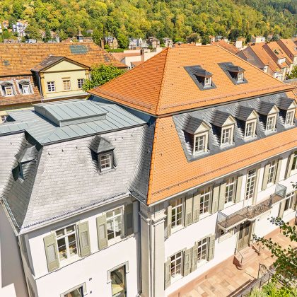 Naturrote Biber in naturrot im Segmentschnitt auf Mansardendach in Heidelberg